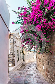 Street with pink blossom in white village Lindos, Rhodes, Greece