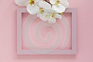 Beautiful White orchid flowers, wooden photo frame on pink background. Pink photo frame and flowers orchids. Empty space for text.