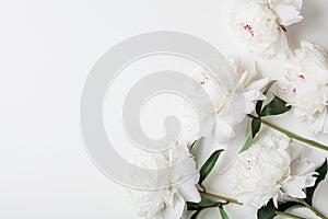 Beautiful white peony flowers bouquet on pastel table top. Flat lay style.