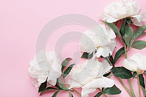 Beautiful white peony flowers bouquet on pink pastel table top view and flat lay style.