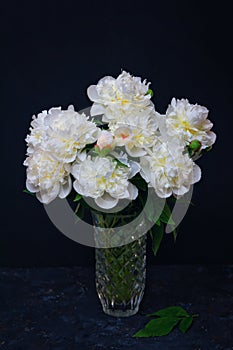 Beautiful white peony flowers bouquet with water drops on petals