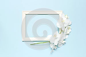 Beautiful White Phalaenopsis orchid flowers, wooden white photo frames on blue background top view flat lay. Tropical flower,