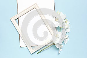 Beautiful White Phalaenopsis orchid flowers, wooden white photo frames on blue background top view flat lay. Tropical flower,