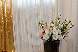 Beautiful white and pink roses flowers bouquet in black vase on curtains shiny golden background. Mother, Valentines, women day,