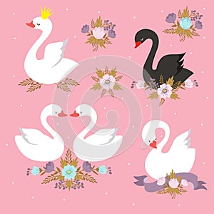 Beautiful white princess swan with crown. Cartoon goose, duck bird vector set