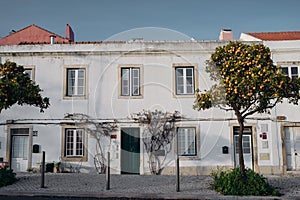 Beautiful white private house with orange trees in Lisbon