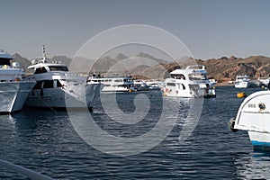 Beautiful white private motor yacht for a boat trip on the Red Sea, Egypt