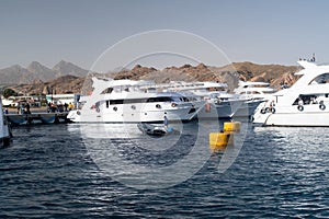 Beautiful white private motor yacht for a boat trip on the Red Sea, Egypt