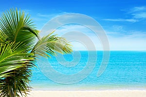 Beautiful white sand beach, blue sea water, clouds background, green palm tree leaves close up, vacation on exotic tropical island