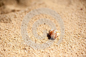 Beautiful white sand beach of Boracay