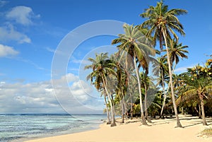 Beautiful white sand beach in Caribbean Islands photo