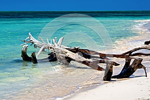 The beautiful white sand beach of Cayo Levisa, Cuba