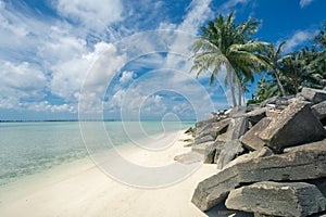 Palm tree on a sand beach with rocks in Malasya