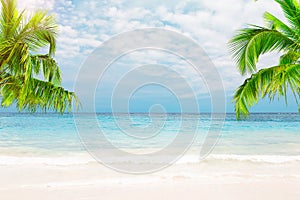 Beautiful white sand beach with turquoise water, coconut palm trees and blue sky with clouds in Punta Cana, Dominican Republic