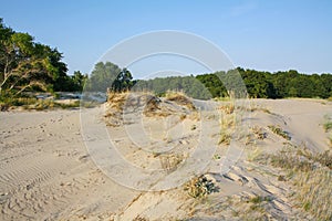 Beautiful white sand dune and tree over Baltic sea in the summer, landscape