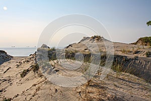 Beautiful white sand dune and tree over Baltic sea in the summer, landscape