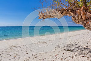 Beautiful White sand White sand beach in Krabi Thailand