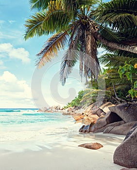 Beautiful white sandy beach surrounded by granite rocks and coconut palm trees. La Digue, Seychelles. Toned image
