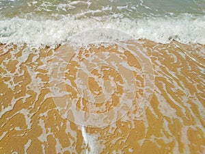 Beautiful white sea sponge on the beach