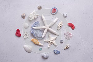 Beautiful white starfish, shells, red, white and blue corals, glass, sea pebbles lie on light gray modern concrete background.