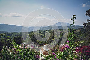 beautiful white stucco Buddha statue enshrined on the hillside It is a place of meditation called Wat Sutesuan.