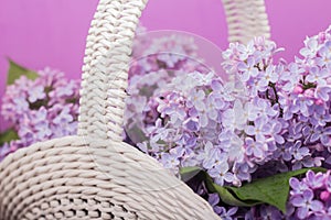 Beautiful white vintage wicker basket on a wooden table. Lilac flowers in a retro basket