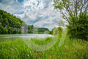 Beautiful Wichelsee, small lake close to Luzern in Switzerland