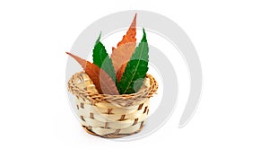 Beautiful wicker basket with autumn leaves composition on white isolated background