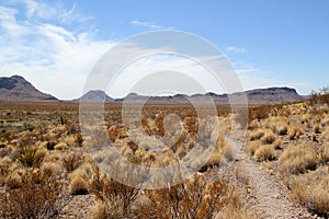 Beautiful and wide landscape in Big Bend National Park, Texas