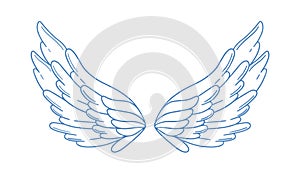 Beautiful wide open angel wings vector monochrome illustration. Pair of bird or amour feather wing isolated on white