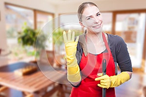 Beautiful wife cleaning the house cheerfully