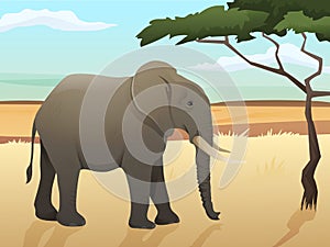 Beautiful wild african animal illustration. Big Elephant standing on the grass with savannah and tree background.