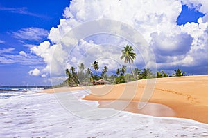 Bellissimo Selvaggio spiagge da. tranquillo Sud da isola 