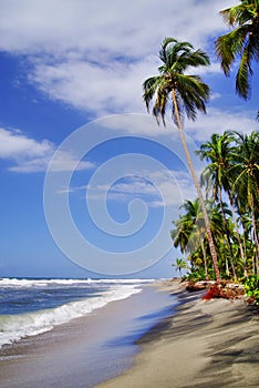 Beautiful wild caribbean beach landscape - Costeno Beach