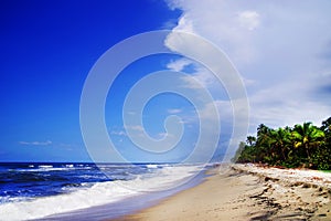 Beautiful wild caribbean beach landscape - Costeno Beach