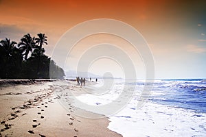 Beautiful wild caribbean beach landscape - Costeno Beach