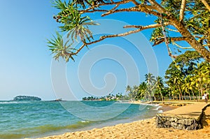 Beautiful wild and exotic Caribbean beach