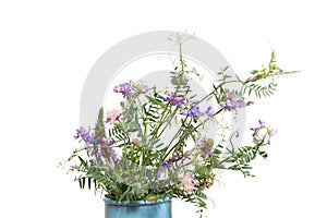 Beautiful wild flowers in blue vase isolated on white background