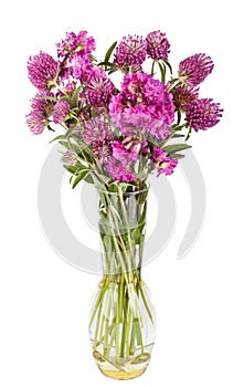 Beautiful Wild Flowers Bouquet. Wildflowers in vase