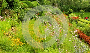 Beautiful wild flowers and ornamental plants in the kodaikanal chettiar park.