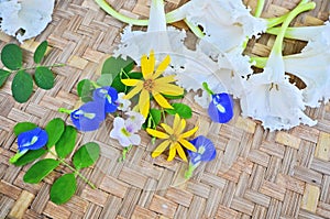 Beautiful wild flowers top view