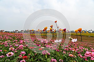 Beautiful wild flowers or wildflowers