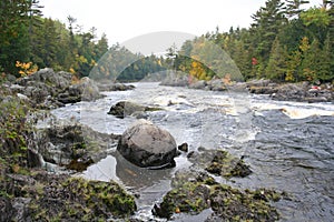 Beautiful wild scenic river