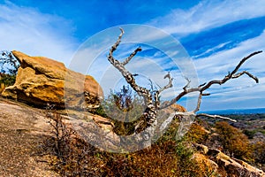 A Beautiful Wild Western View with a Gnarly Dead Tree, a View of Turkey Peak on Enchanted Rock, Texas.