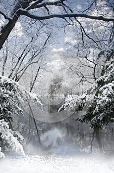 Beautiful wild winter nature with snowy trees and lake