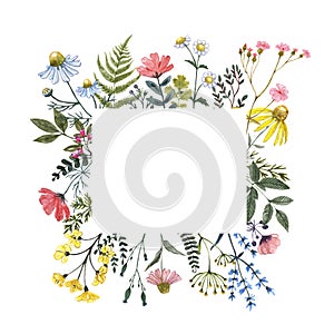 Beautiful wildflower border with hand painted summer meadow flowers, herbs, grass, leaves, isolated on white background.