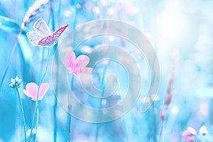 Beautiful wildflowers  butterfly in the dreamy meadow. Delicate pink and blue colors pastel toned. Shallow depth macro background