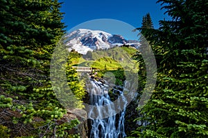 Beautiful wildflowers and Mount Rainier, Washington state