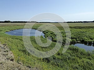 Beautiful wildlife with lakes and water lilies. Landscape with water. The reeds.