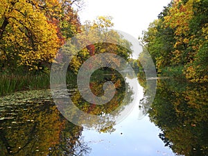 Beautiful Wilhelm chanel and trees, Lithuania